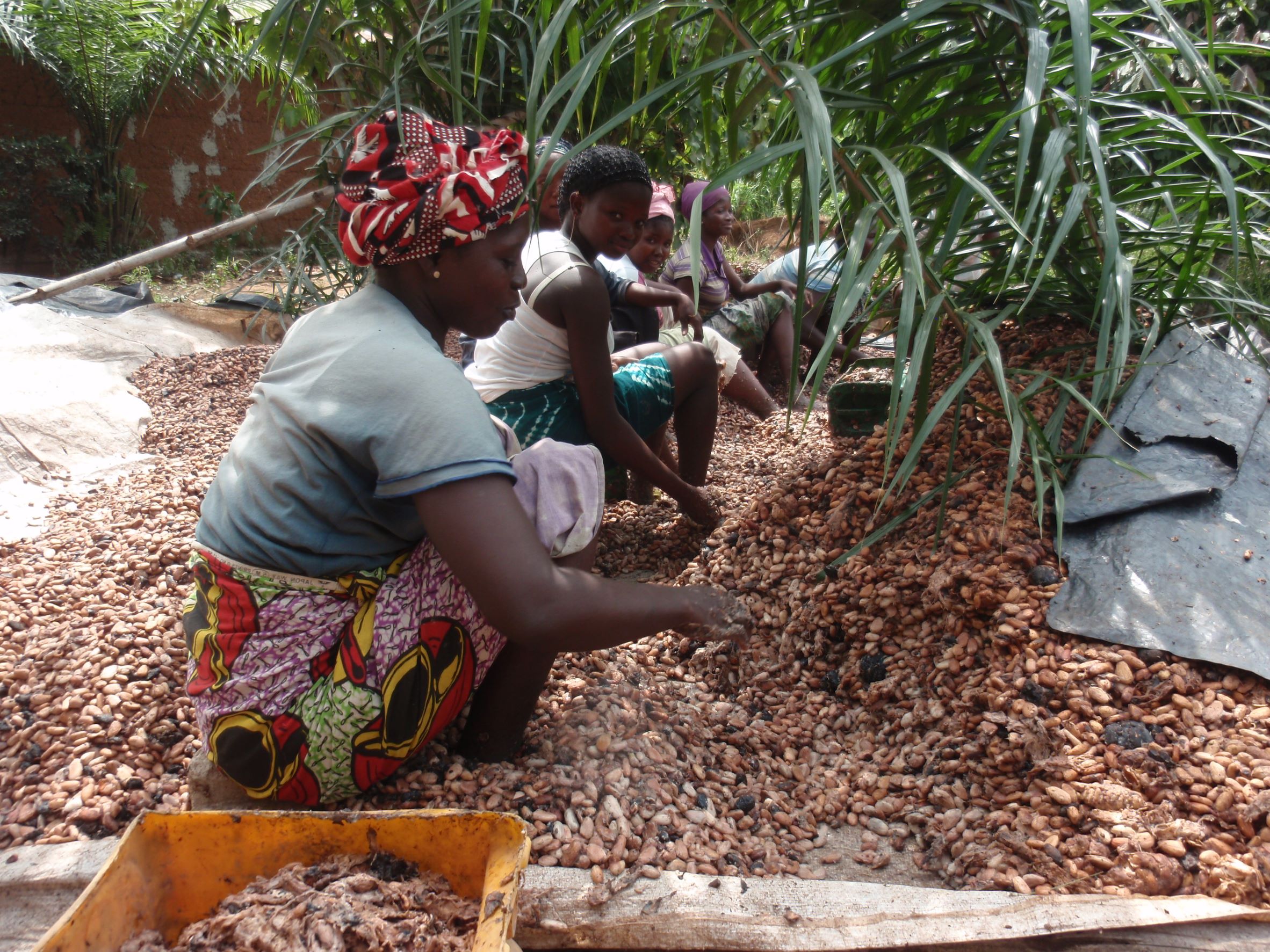 biomass potential cote d'Ivoire
