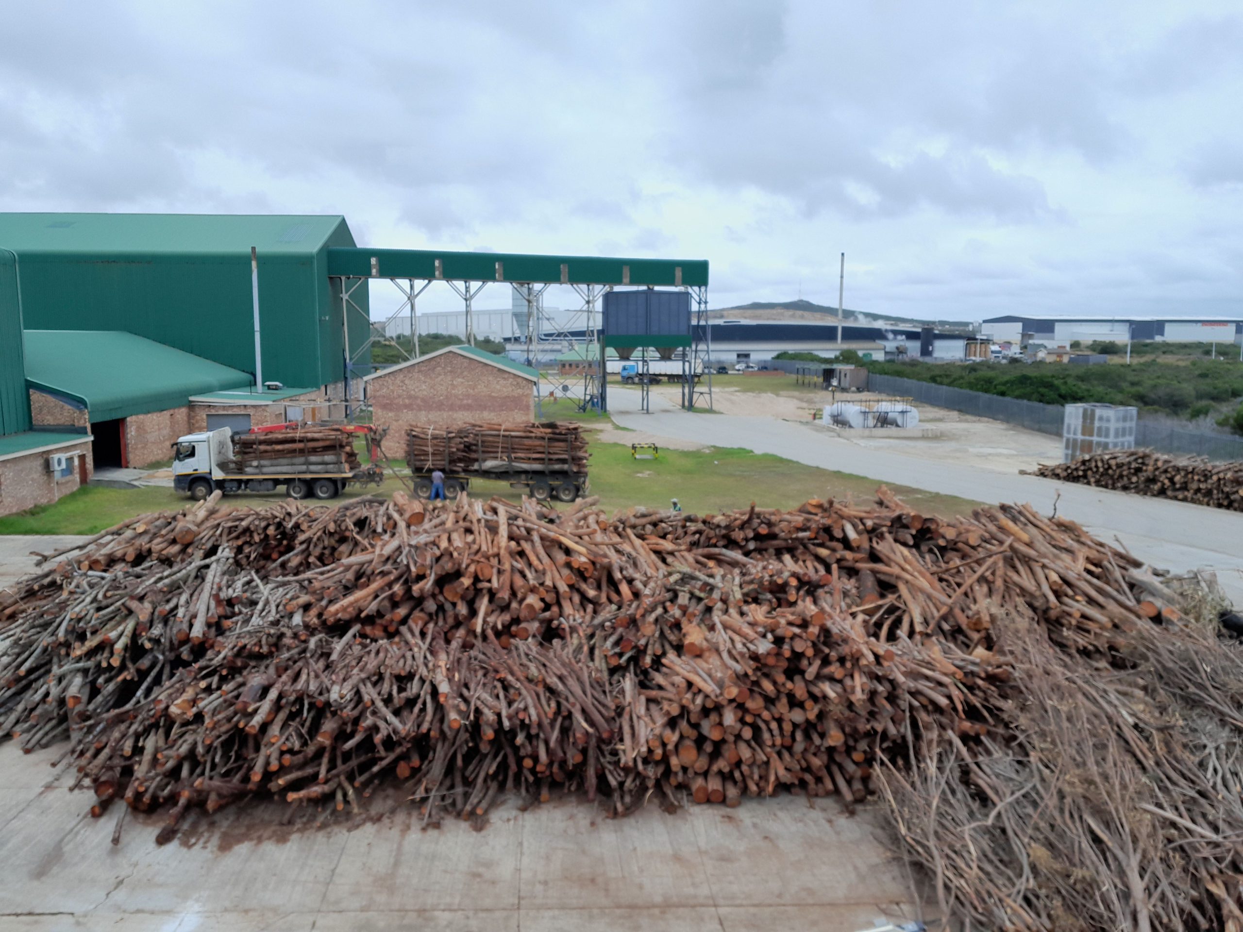Coega biomass centre