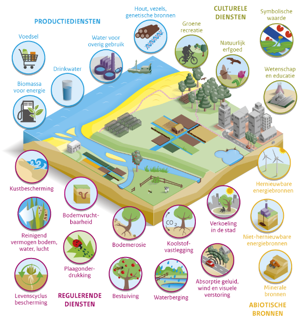 ecosysteemdiensten